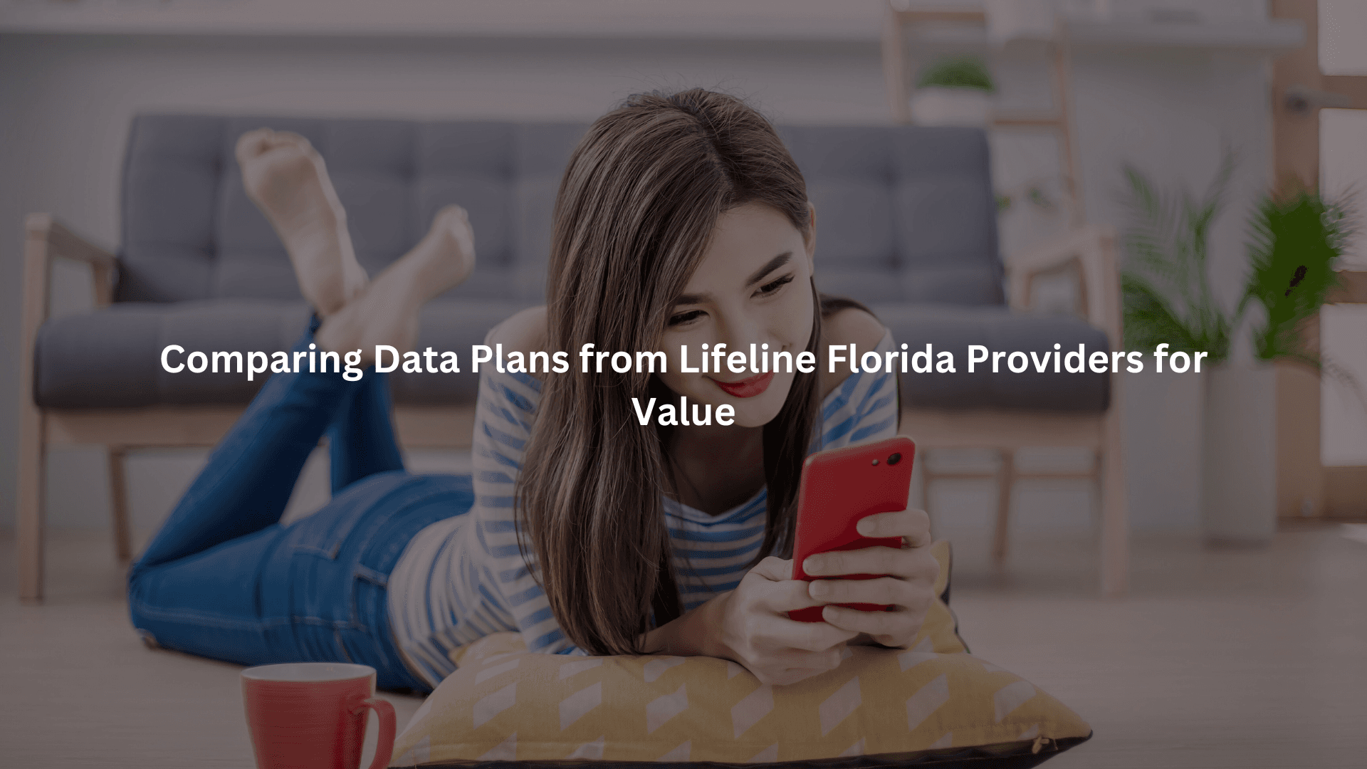 Comparing Data Plans from Lifeline Florida Providers for Value